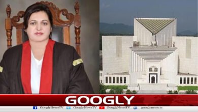 Chief Justice Alia Neelam's decision to make him a judge of the Supreme Court