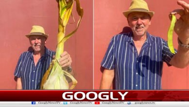 برطانوی باغبان نے2 عالمی ریکارڈنام کرلئے 2 British gardener sets two world records.