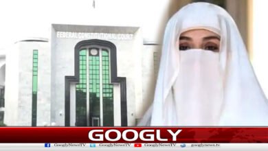 Bushra Bibi has approached the constitutional court seeking the suspension of her sentence.