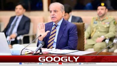 وفاقی کابینہ میں اہم تبدیلیوں،نئے چہروں کی شمولیت پر غور شروع 4 Deliberations begin on major changes to the federal cabinet and the inclusion of new faces.