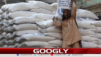 شوگر ملز کی چینی ایکسپورٹ کرنے کی درخواست موخر 5 Sugar mills' request to export sugar deferred.