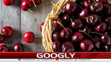  چیری کااستعمال پٹھوں کے درد میں مفید قرار