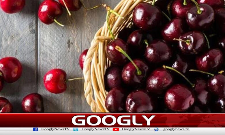 چیری کااستعمال پٹھوں کے درد میں مفید قرار 1 چیری کااستعمال پٹھوں کے درد میں مفید قرار