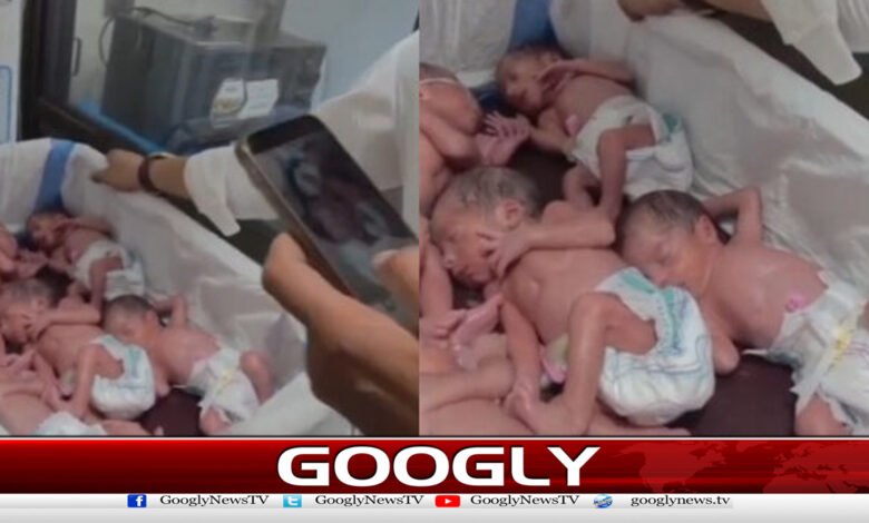 کوئٹہ میں خاتون کے ہاں 5 بچوں کی پیدائش 1 5 children were born to a woman in Quetta