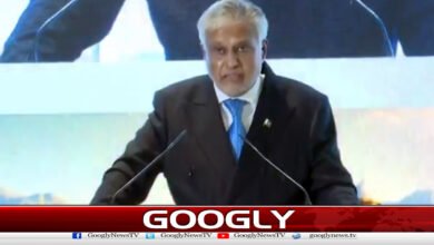 Ishaq Dar invites Turkish companies to invest in Pakistan