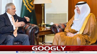 Saudi Ambassador meets Ishaq Dar; views exchanged on peace in the Middle East.