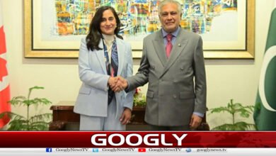 پاکستان اور کینیڈا کے وزرائے خارجہ کی ملاقات،عالمی امورپرتبادلہ خیال 5 v