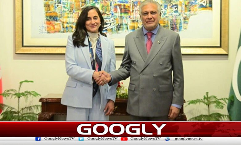 پاکستان اور کینیڈا کے وزرائے خارجہ کی ملاقات،عالمی امورپرتبادلہ خیال 1 v