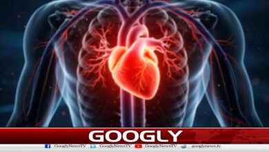 دل کے مریضوں کیلئے روزانہ استعمال کی نئی دوا کی منظوری 2 New daily drug approved for heart patients