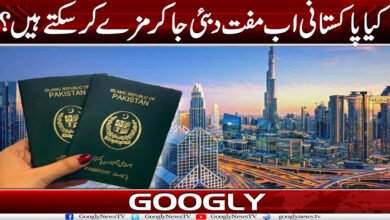 dubaia