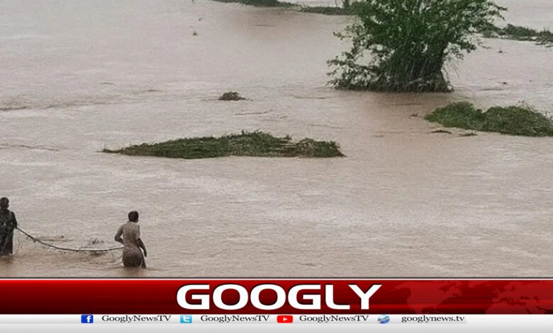 دریائے چناب، جہلم، راوی اورندی نالوں میں سیلاب کی وارننگ جاری 1 دریائے چناب، جہلم، راوی اورندی نالوں میں سیلاب کی وارننگ جاری