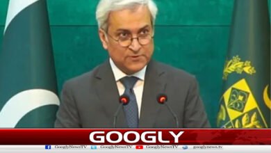 Pakistan rejected Amnesty International's report