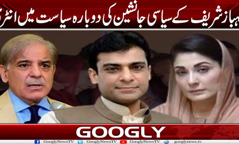 شہباز شریف کے سیاسی جانشین کی دوبارہ سیاست میں انٹری 1 hamzaa