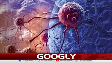 عالمی ادارہ صحت نےکینسر کےسنگین خطرےکی وارننگ دیدی 2 The World Health Organization has issued a warning regarding the serious risk of cancer.