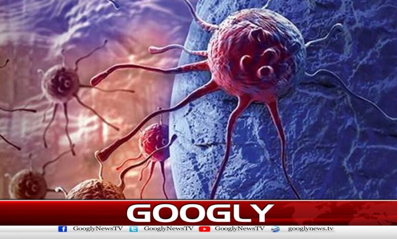The World Health Organization has issued a warning regarding the serious risk of cancer.