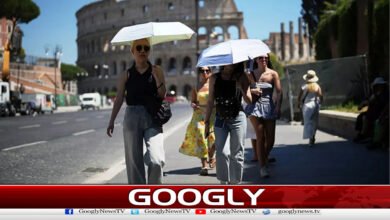 یورپ میں قیامت خیزگرمی سے ہلاکتوں کی تعداد2ہزارتک پہنچ گئی 2 The death toll from the heatwave in Europe has reached 2,000