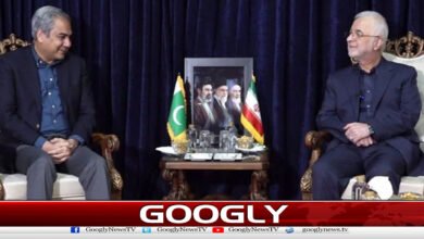 ایرانی وزیر داخلہ کے دورہ پاکستان کا امکان 5 Possibility of visit of Iranian Interior Minister to Pakistan