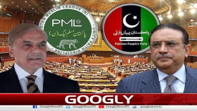 Political tension between PPP and PMLN, will it bring down Shehbaz's coalition government?