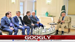 وزیر اعظم کی ترک کاروباری شخصیات سے ملاقاتیں، اقتصادی تعاون بڑھانے پر اتفاق