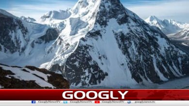 براڈ پیک پر برفانی تودے تلے دبنے والے 4 کوہ پیماؤں کی لاشیں مل گئیں 2 Bodies of 4 climbers buried under avalanche on Broad Peak found