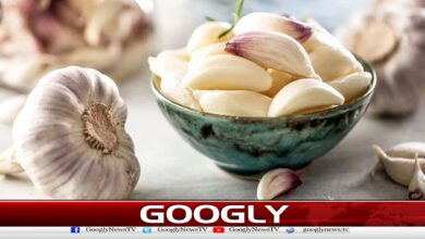 بلڈ شوگر کنٹرول کیلئے کونسا لہسن کھانا مفید ہے؟ماہرین نے بتادیا 2 Which garlic is useful for blood sugar control? Experts told