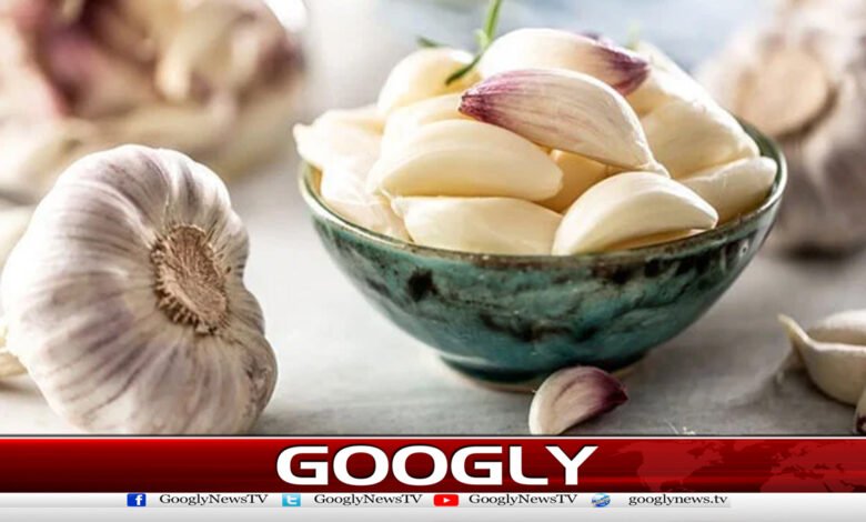 Which garlic is useful for blood sugar control? Experts told