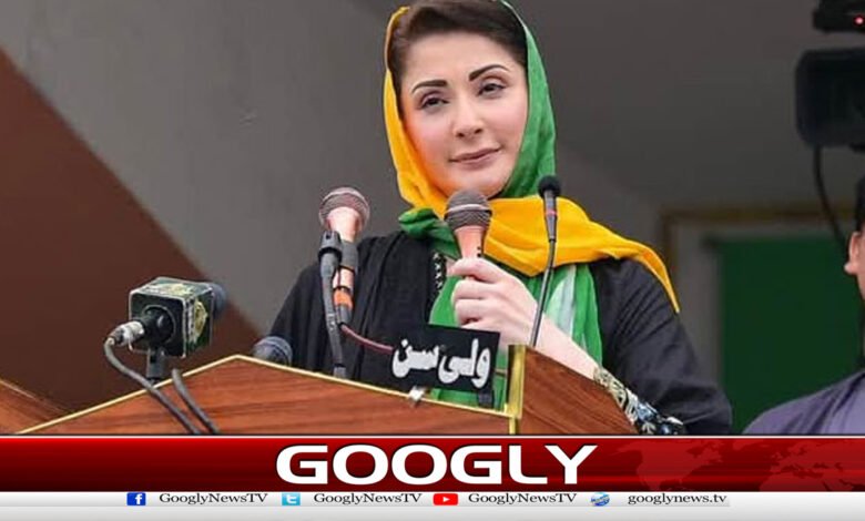 مریم نواز نے پیپلزپارٹی کو دھاندلی کی ماسٹرمائنڈقرار دیدیا 1 Maryam Nawaz has termed the Peoples Party the mastermind of rigging.