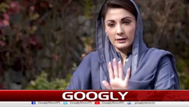 "I have endured 24-hour solitary confinement in Adiala," Maryam Nawaz's reply to Sohail Afridi.