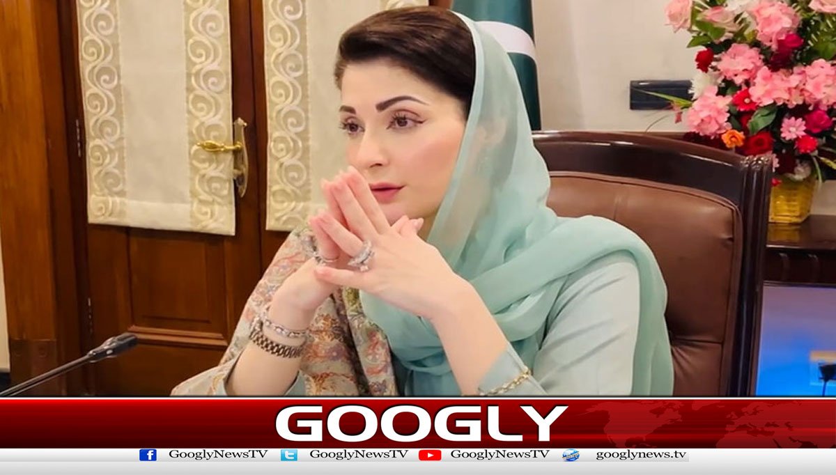 مریم نواز حکومت پنجاب کے سرکاری اثاثوں کے ساتھ کیا کرنے والی ہے؟