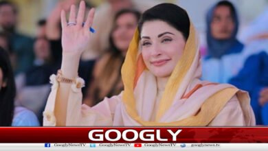 دیہات کی ترقی سے ہی پائیدار خوشحالی ممکن ہے، وزیر اعلیٰ پنجاب 5 Sustainable prosperity is possible only through the development of villages, Punjab Chief Minister