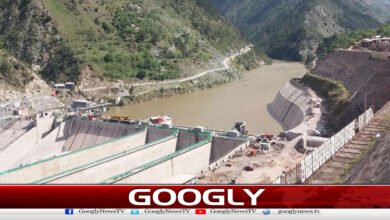 نیلم جہلم ہائیڈرو پاور کمپنی”سفیدہاتھی“بن گئی 5 Neelum-Jhelum Hydropower Company has become a "white elephant."