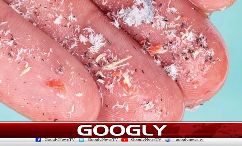 ہارٹ اٹیک کے مریضوں کے خون میں مائیکرو پلاسٹک نکل آیا 1 Microplastics found in the blood of heart attack patients.
