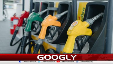 How did the government's new petroleum policy provoke public outcry?