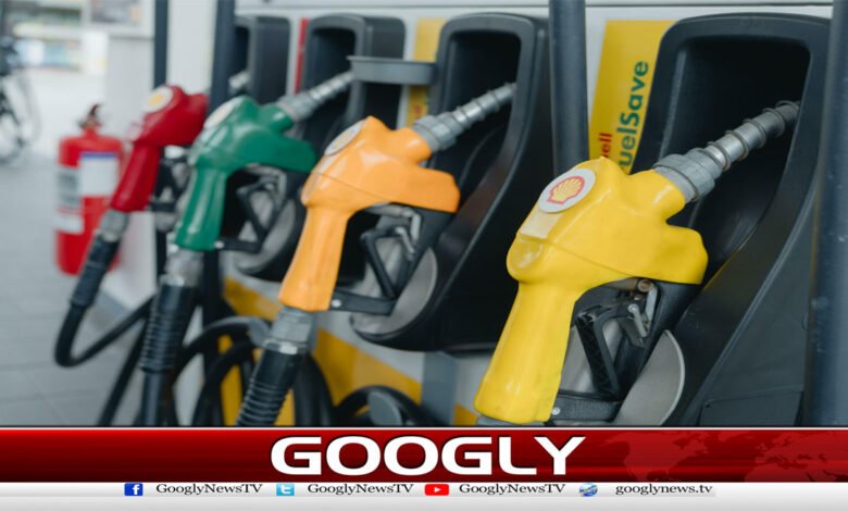 How did the government's new petroleum policy provoke public outcry?