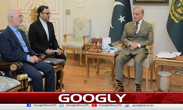 وزیراعظم سے ایرانی وزیر داخلہ کی ملاقات،علاقائی صورتحال پر تبادلہ خیال 1 Iranian Interior Minister meets Prime Minister; regional situation discussed.