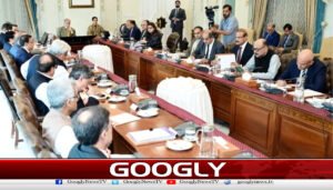 ٹیکس چوری میں ملوث عناصر کومعافی نہیں ملےگی،وزیراعظم