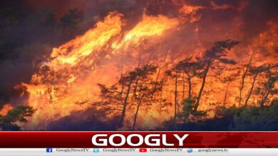 وسطی پرتگال میں جنگلات کی آگ بے قابو، متعدد علاقے متاثر 5 Forest fires rage out of control in central Portugal, affecting multiple areas