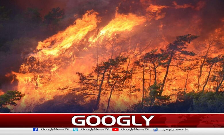 Forest fires rage out of control in central Portugal, affecting multiple areas