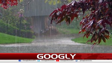 More monsoon rains forecast for Punjab.