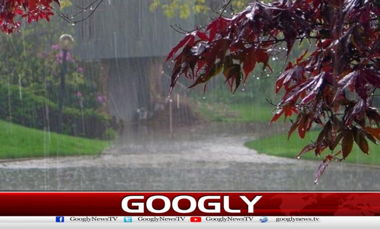 More monsoon rains forecast for Punjab.