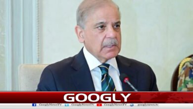 A system for strict monitoring of fuel transportation should be developed, says Prime Minister