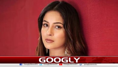 Indian singer Shahnaz Gul praises Pakistani dramas