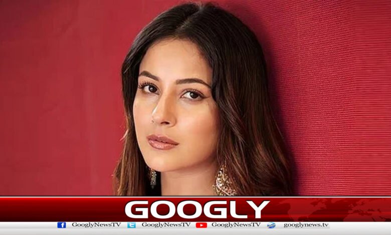 بھارتی گلوکارہ شہناز گل نے پاکستانی ڈراموں کی تعریف کردی 1 Indian singer Shahnaz Gul praises Pakistani dramas