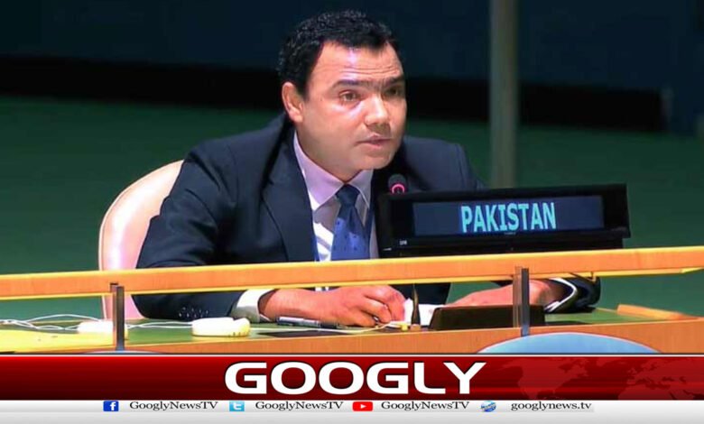 Pakistan demands at the UN that those responsible for atrocities in Sudan be punished