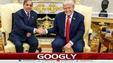 Prime Minister Shehbaz Sharif congratulated Trump and the American people on Independence Day