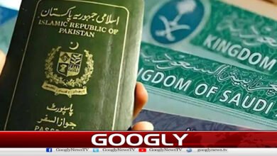 سعودی عرب نے نیا پیکیج ویزا متعارف کرا دیا 2 Saudi Arabia has introduced a new visa package.
