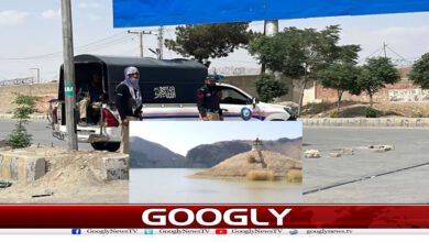 کوئٹہ کے قریب عوام پر حملہ کرنے والے 300شدت پسند کون؟ 5 website Googly 101