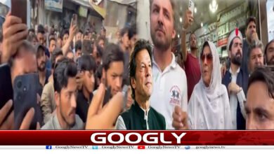 علیمہ خان نے پی ٹی آئی پر قبضے کی کوششیں مزید تیز کر دیں 2 website Googly 203