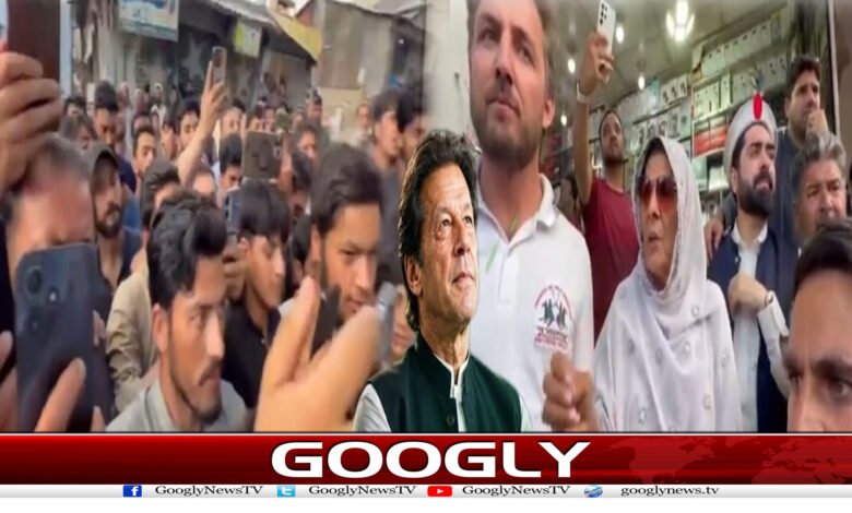 website Googly 203