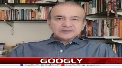 بُردبار پاکستان 5 website Googly 21